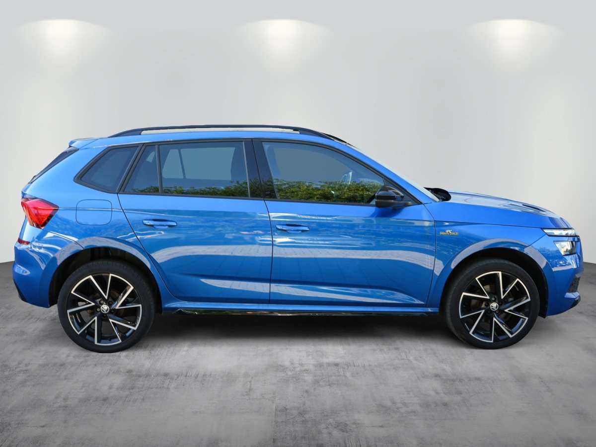 Fahrzeugbild eines Skoda Kamiq