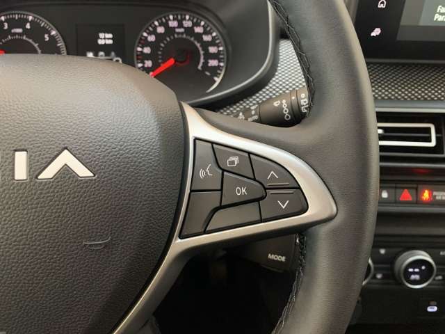 Fahrzeugbild eines Dacia Sandero