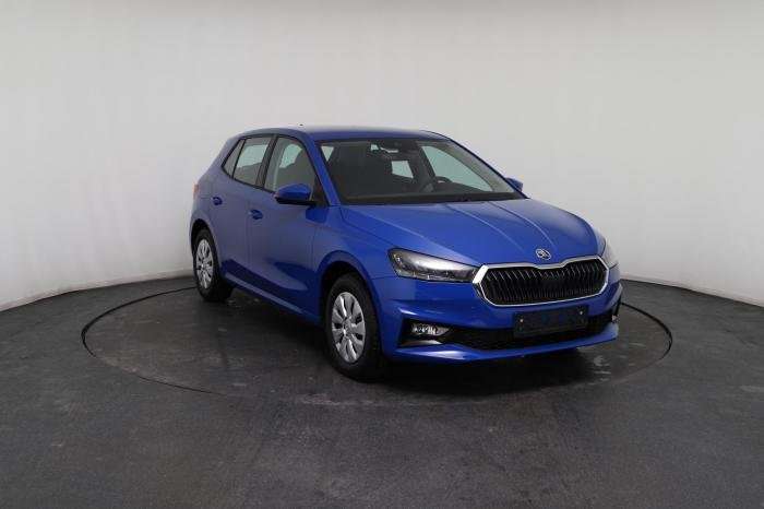 Fahrzeugbild eines Skoda Fabia