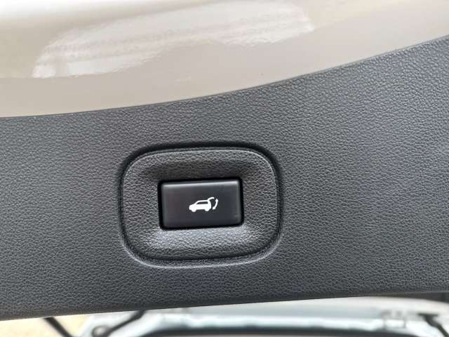 Fahrzeugbild eines Renault Koleos