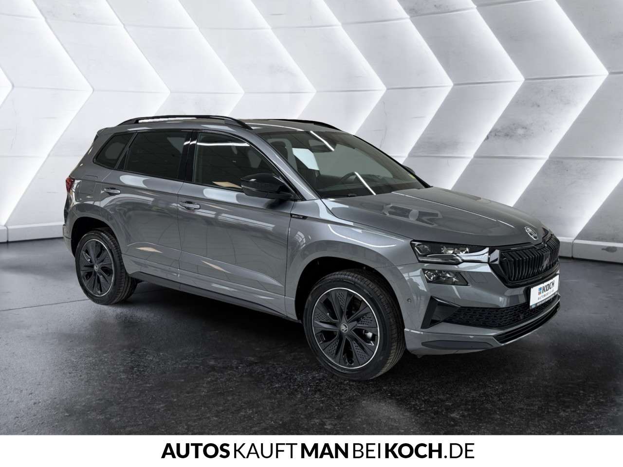 Fahrzeugbild eines Skoda Karoq