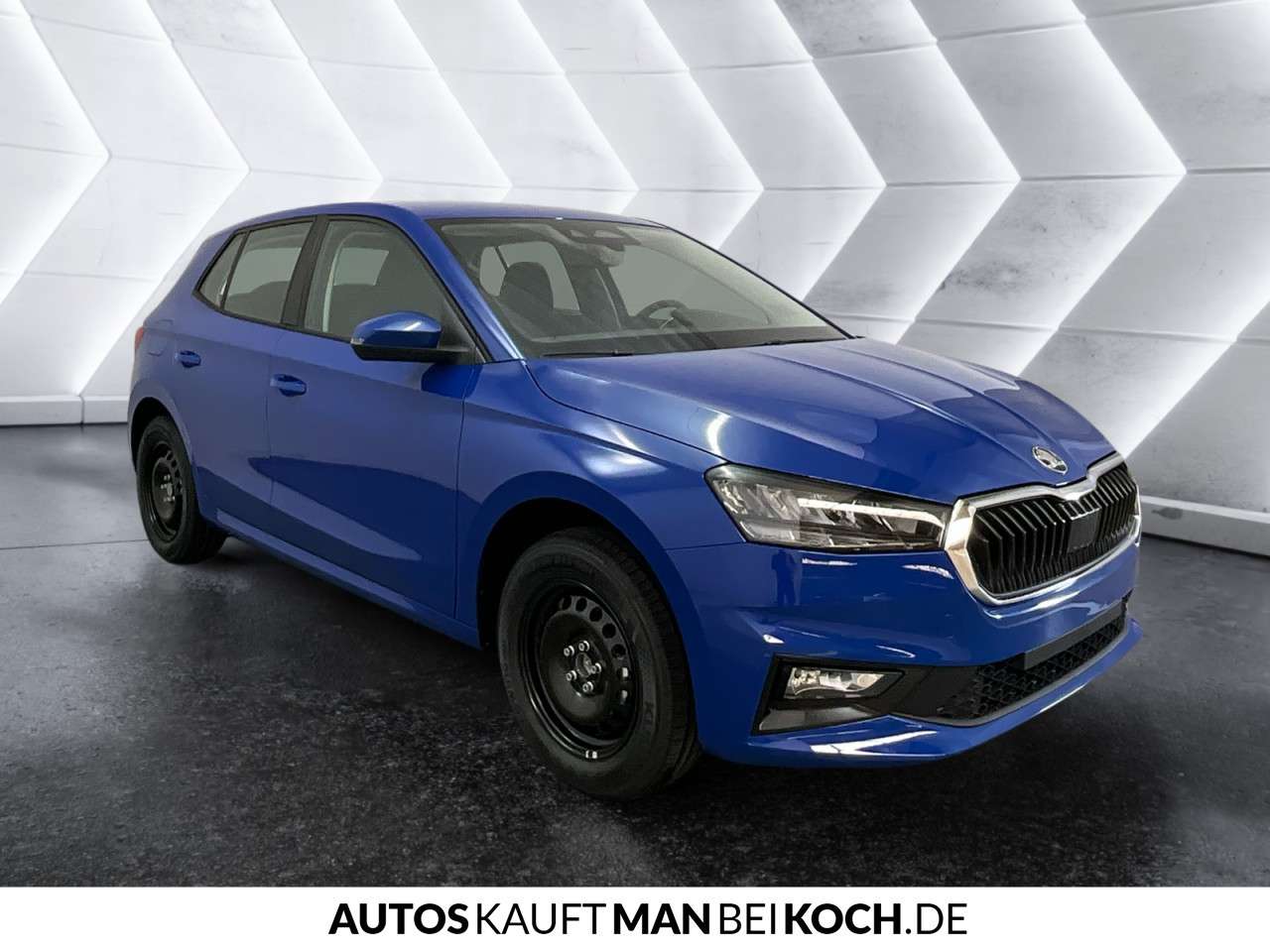 Fahrzeugbild eines Skoda Fabia
