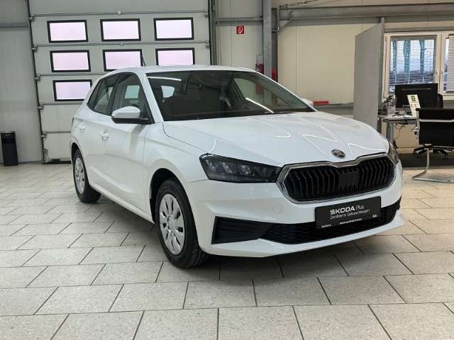 Fahrzeugbild eines Skoda Fabia