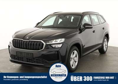 Bild Skoda Kodiaq