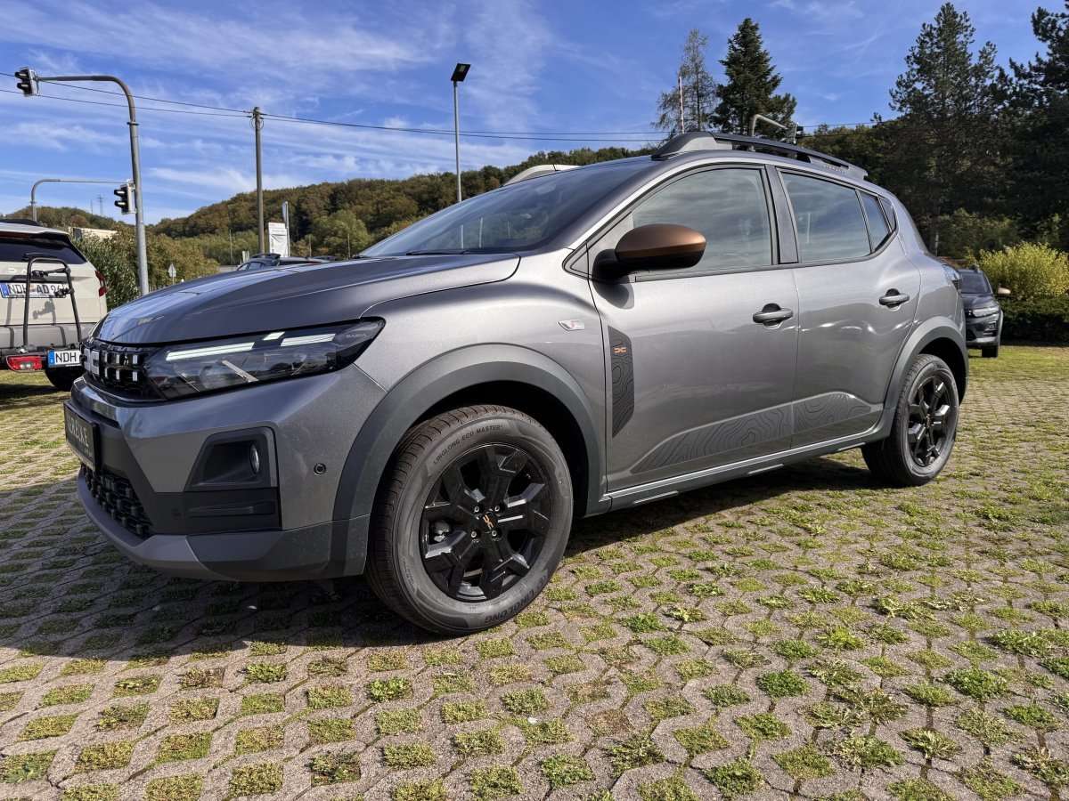 Fahrzeugbild eines Dacia Sandero