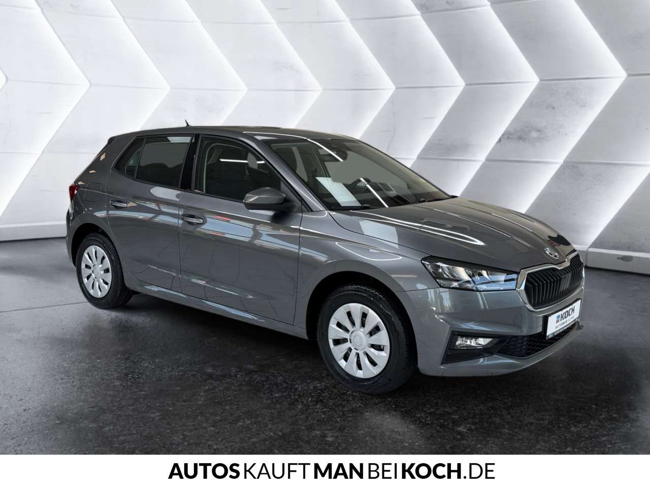 Fahrzeugbild eines Skoda Fabia