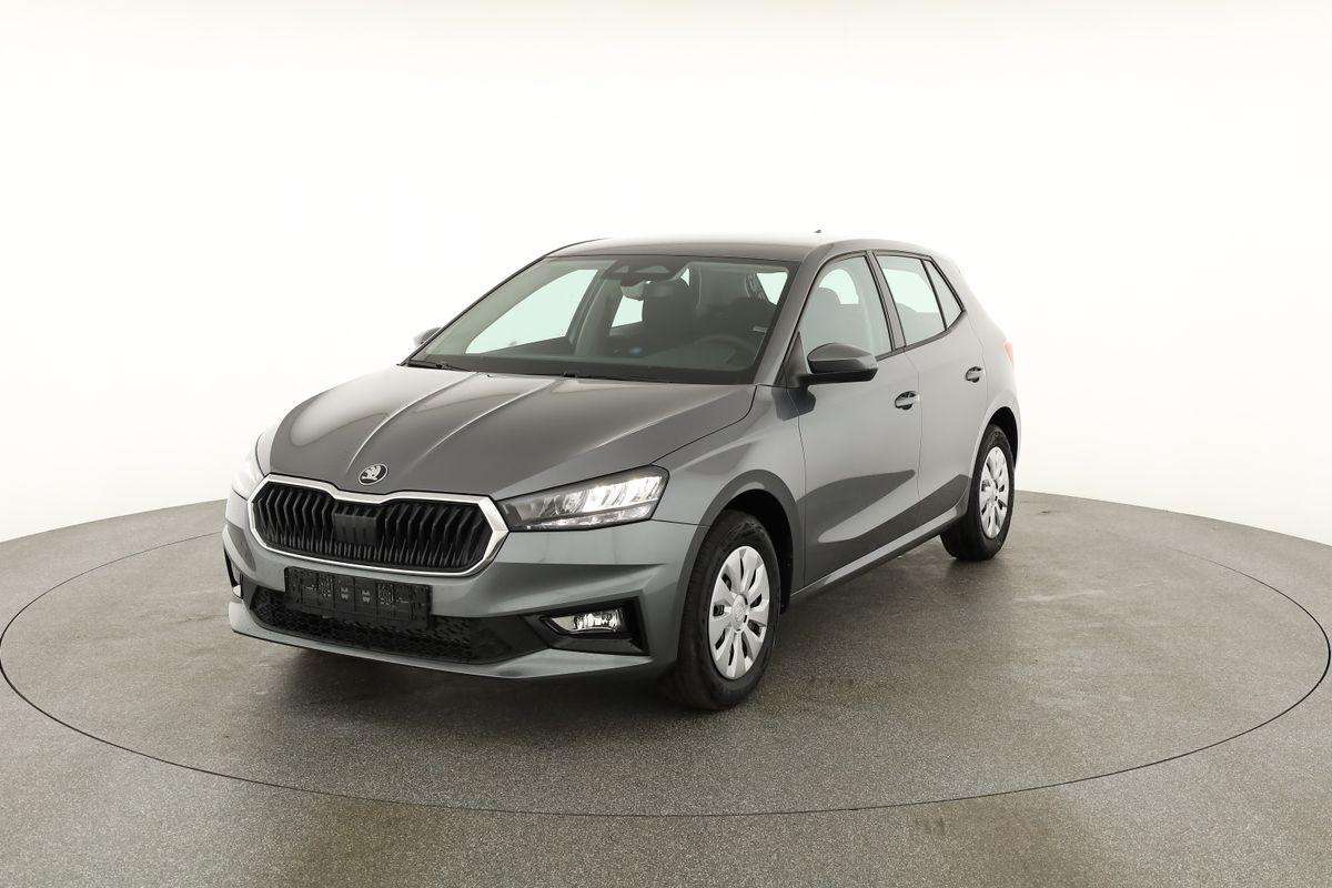 Fahrzeugbild eines Skoda Fabia
