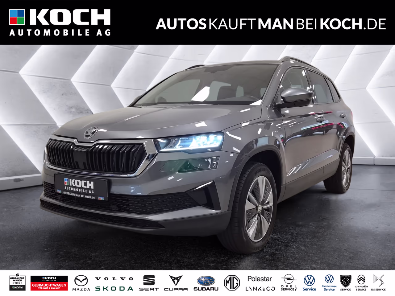 Fahrzeugbild eines Skoda Karoq