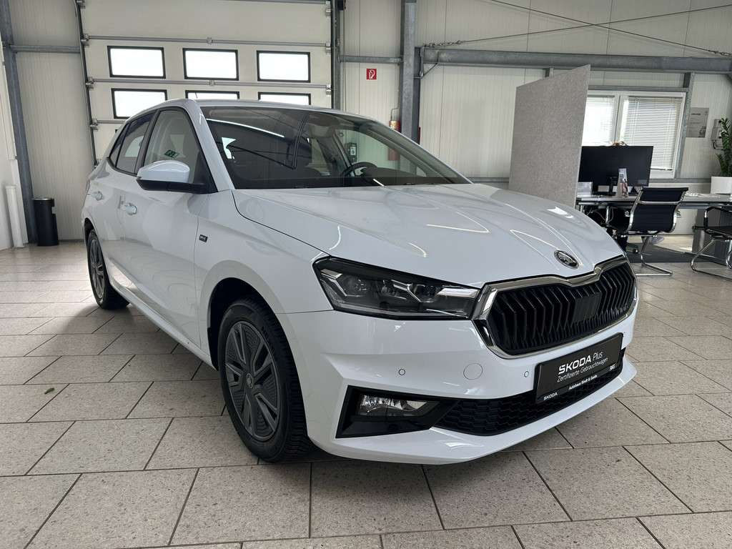 Fahrzeugbild eines Skoda Fabia