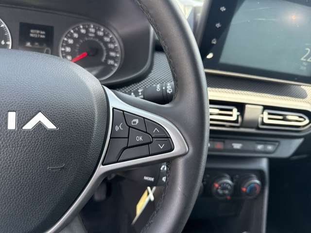 Fahrzeugbild eines Dacia Sandero