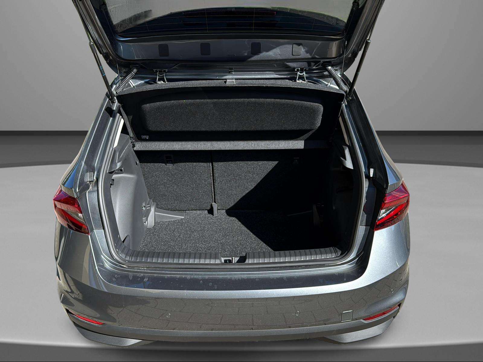 Fahrzeugbild eines Skoda Fabia