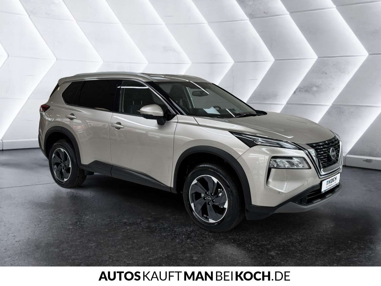 Fahrzeugbild eines Nissan X-TRAIL