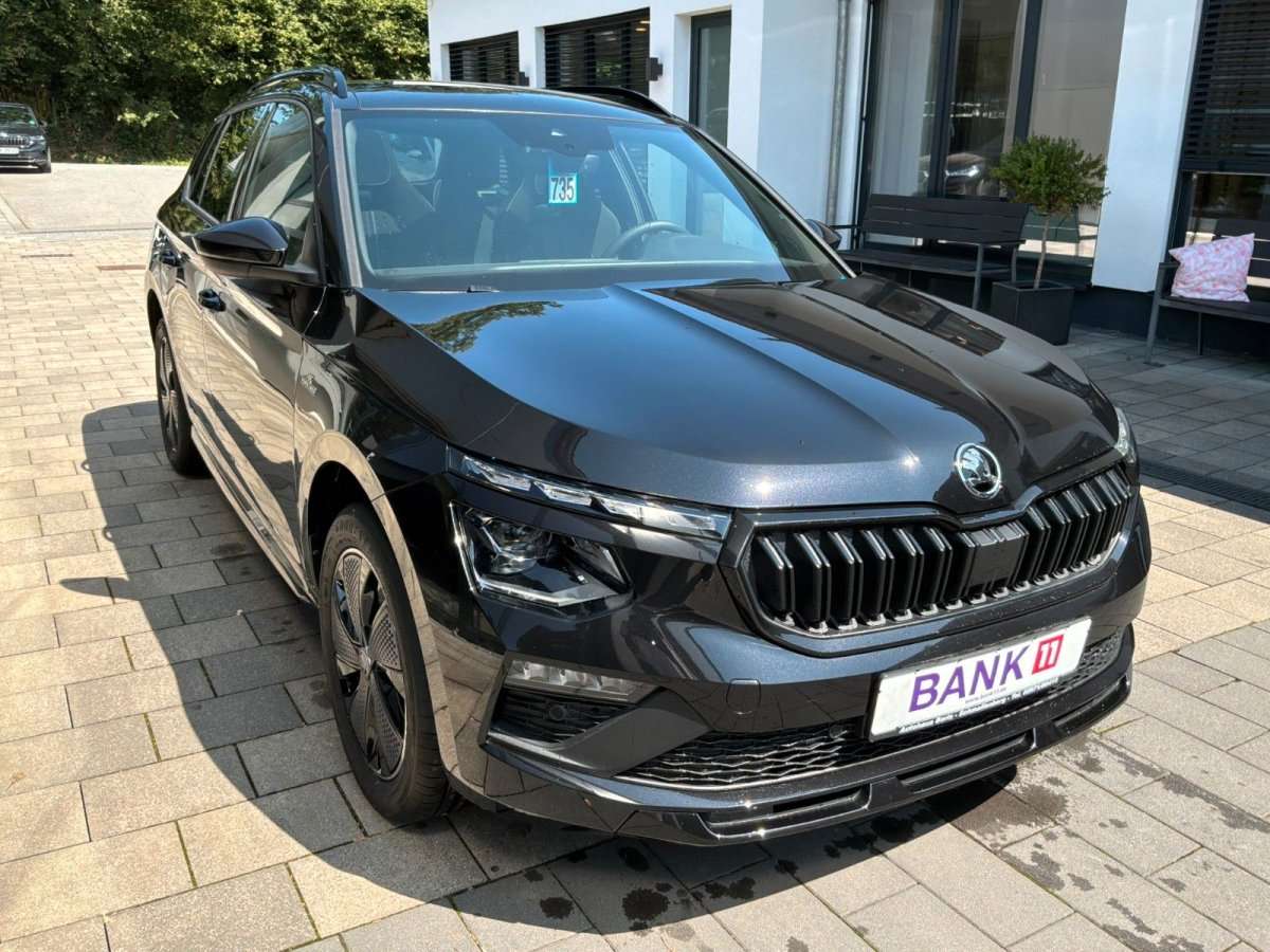 Fahrzeugbild eines Skoda Kamiq