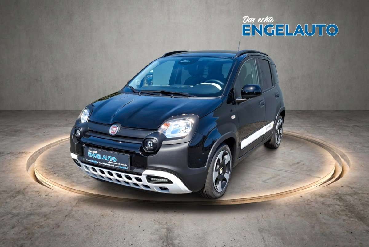 Fahrzeugbild eines Fiat Panda