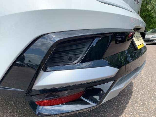 Fahrzeugbild eines Renault Rafale