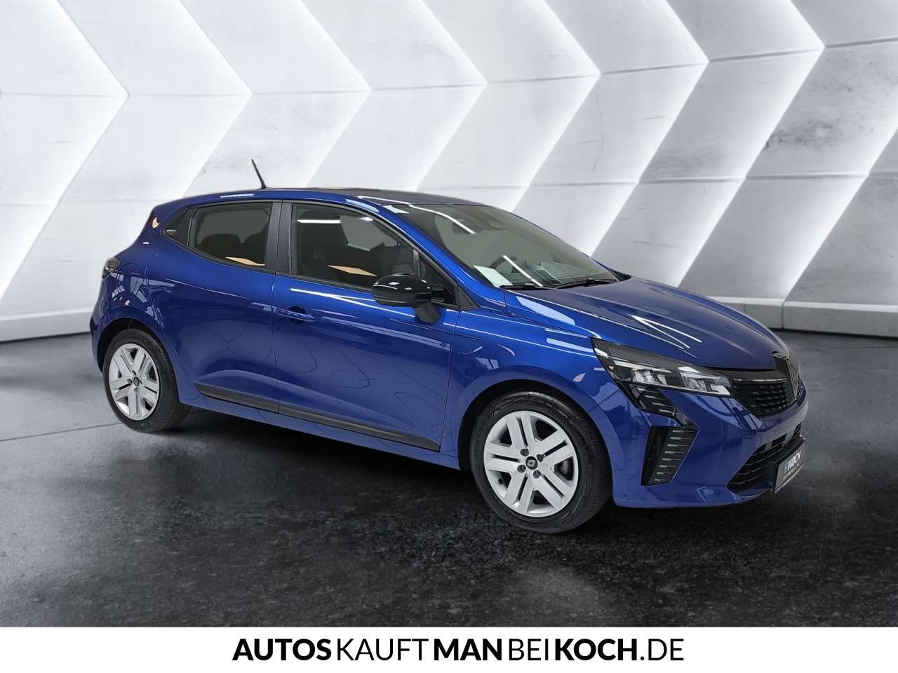 Fahrzeugbild eines Renault Clio