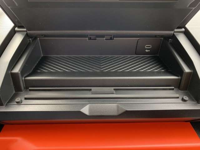 Fahrzeugbild eines Dacia Spring