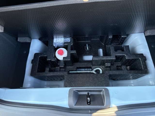 Fahrzeugbild eines Dacia Spring