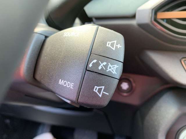 Fahrzeugbild eines Dacia Sandero