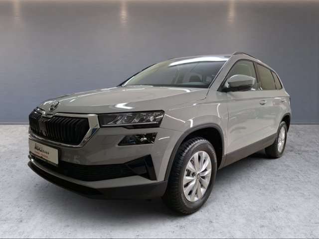 Fahrzeugbild eines Skoda Karoq