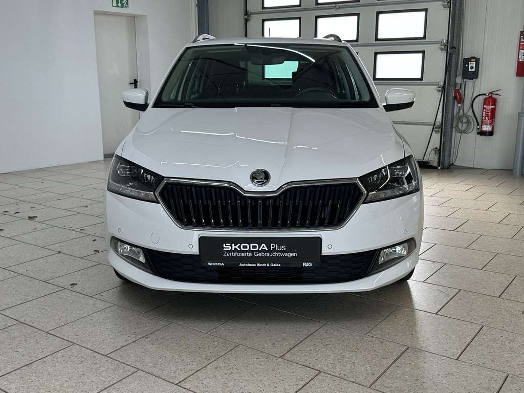 Fahrzeugbild eines Skoda Fabia