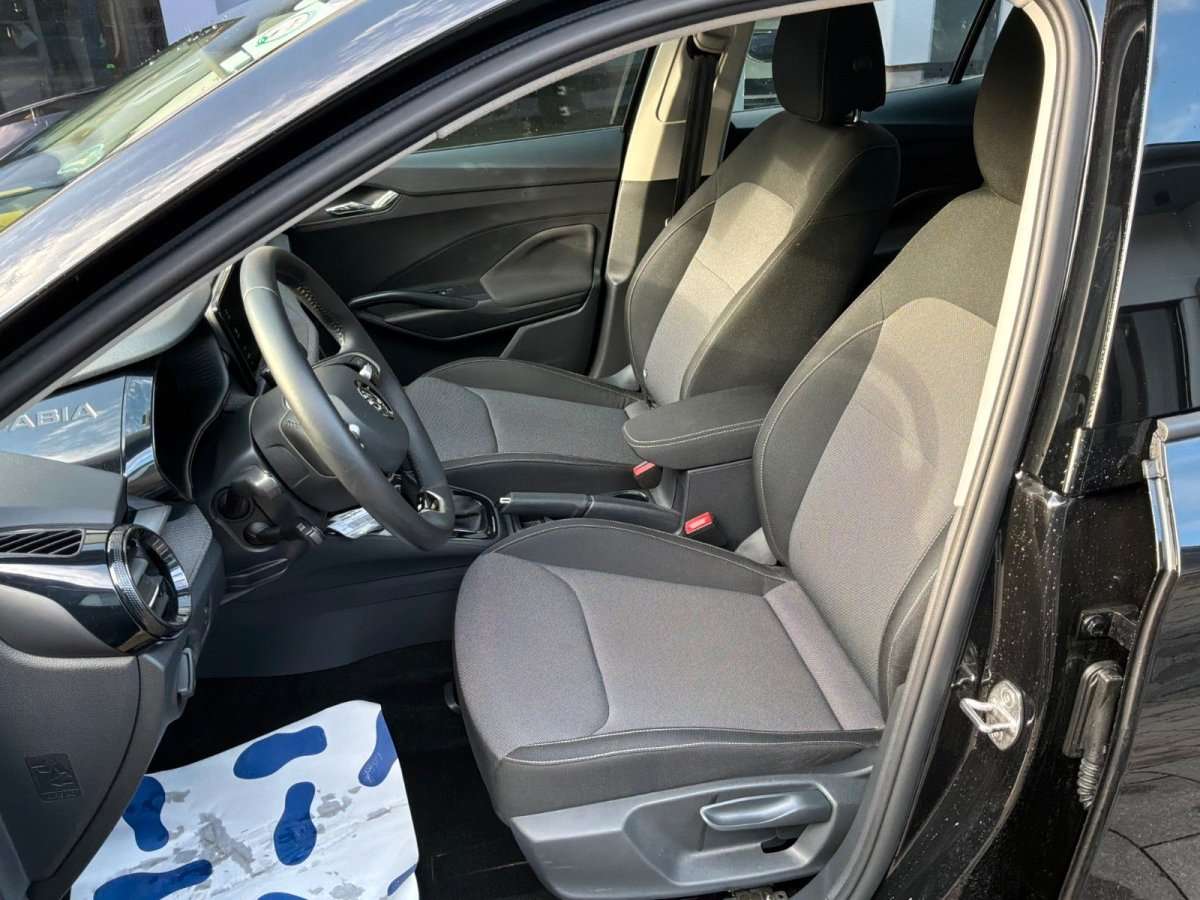 Fahrzeugbild eines Skoda Fabia