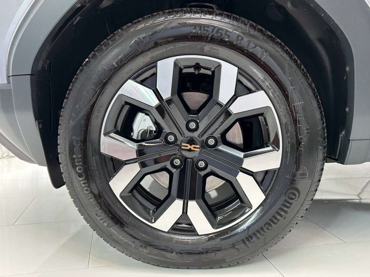 Fahrzeugbild eines Dacia Duster