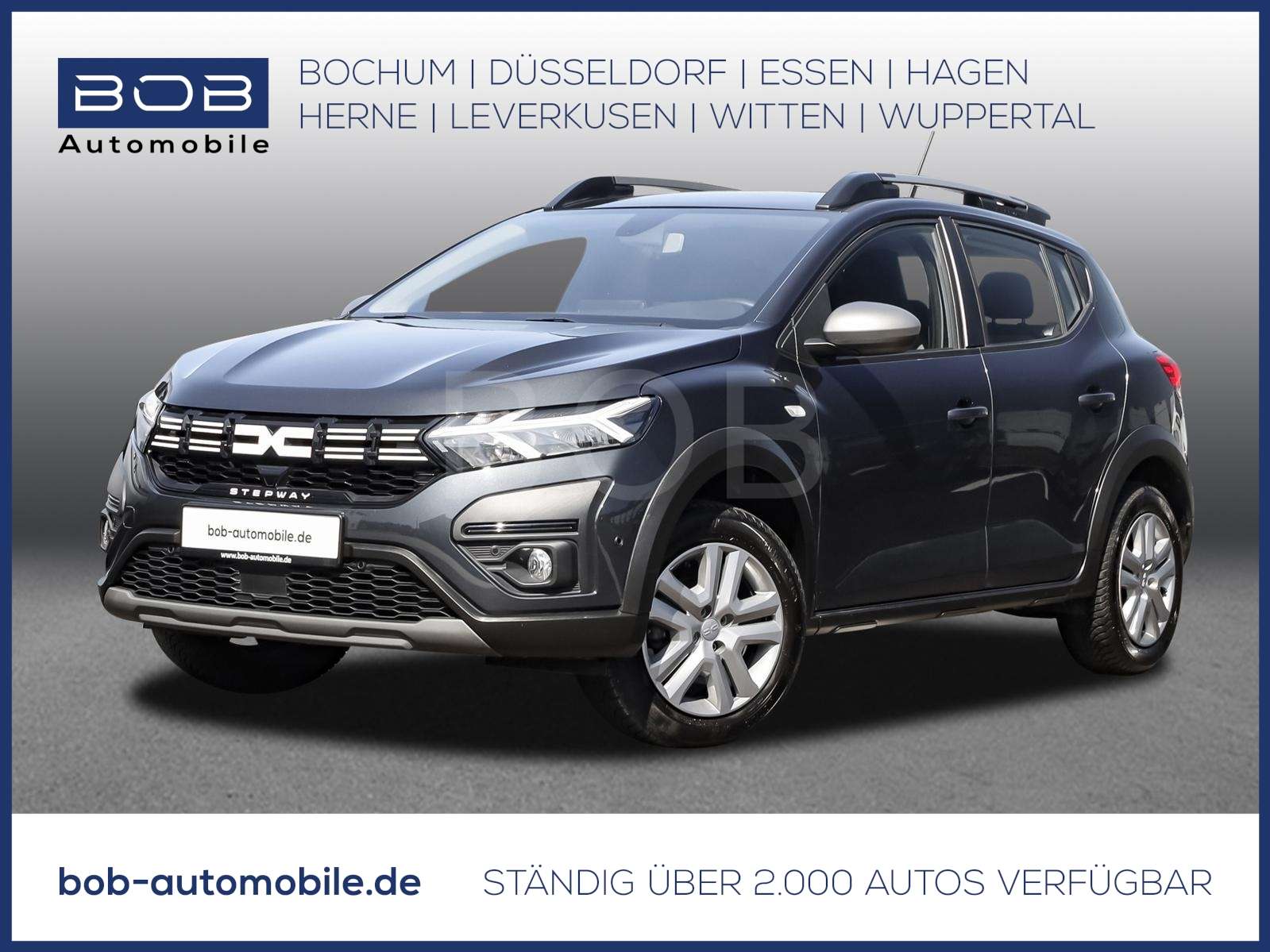 Fahrzeugbild eines Dacia Sandero