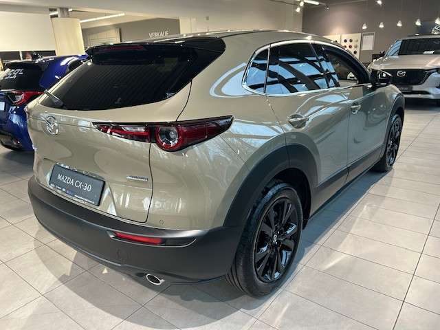 Fahrzeugbild eines Mazda CX-30