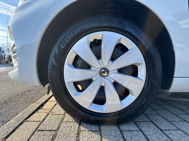 Fahrzeugbild eines Renault ZOE