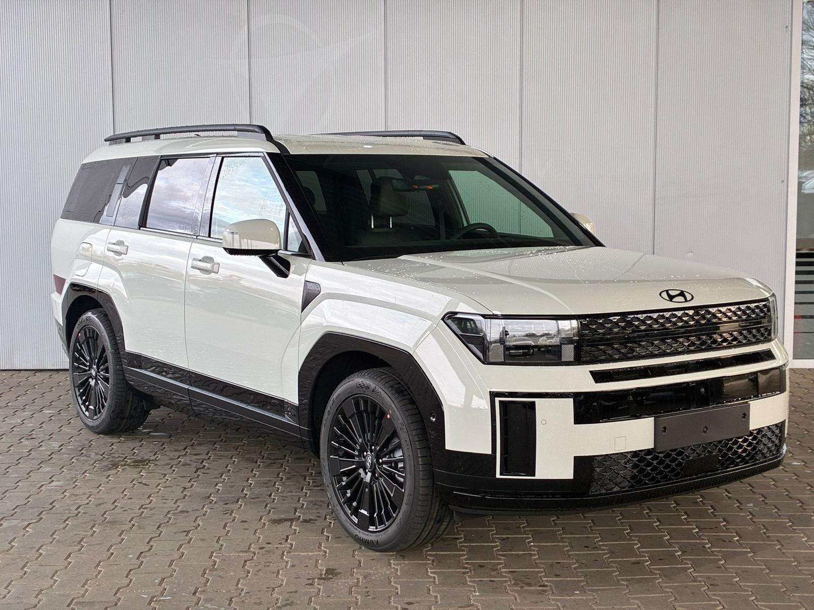 Fahrzeugbild eines Hyundai Santa Fe