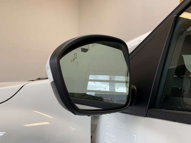 Fahrzeugbild eines Dacia Jogger