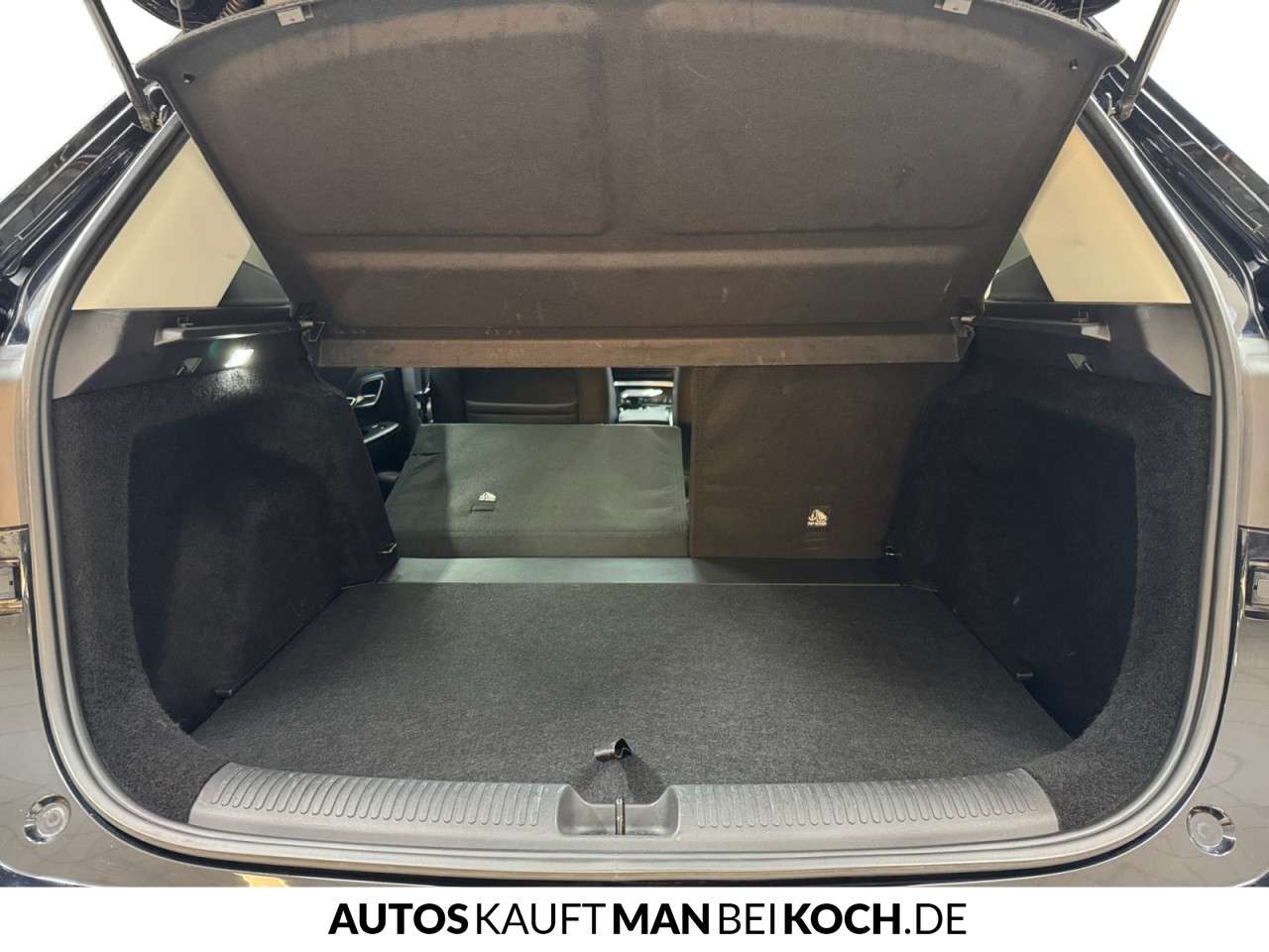 Fahrzeugbild eines MG ZS