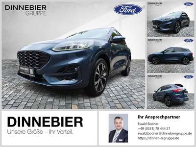 Bild Ford Kuga