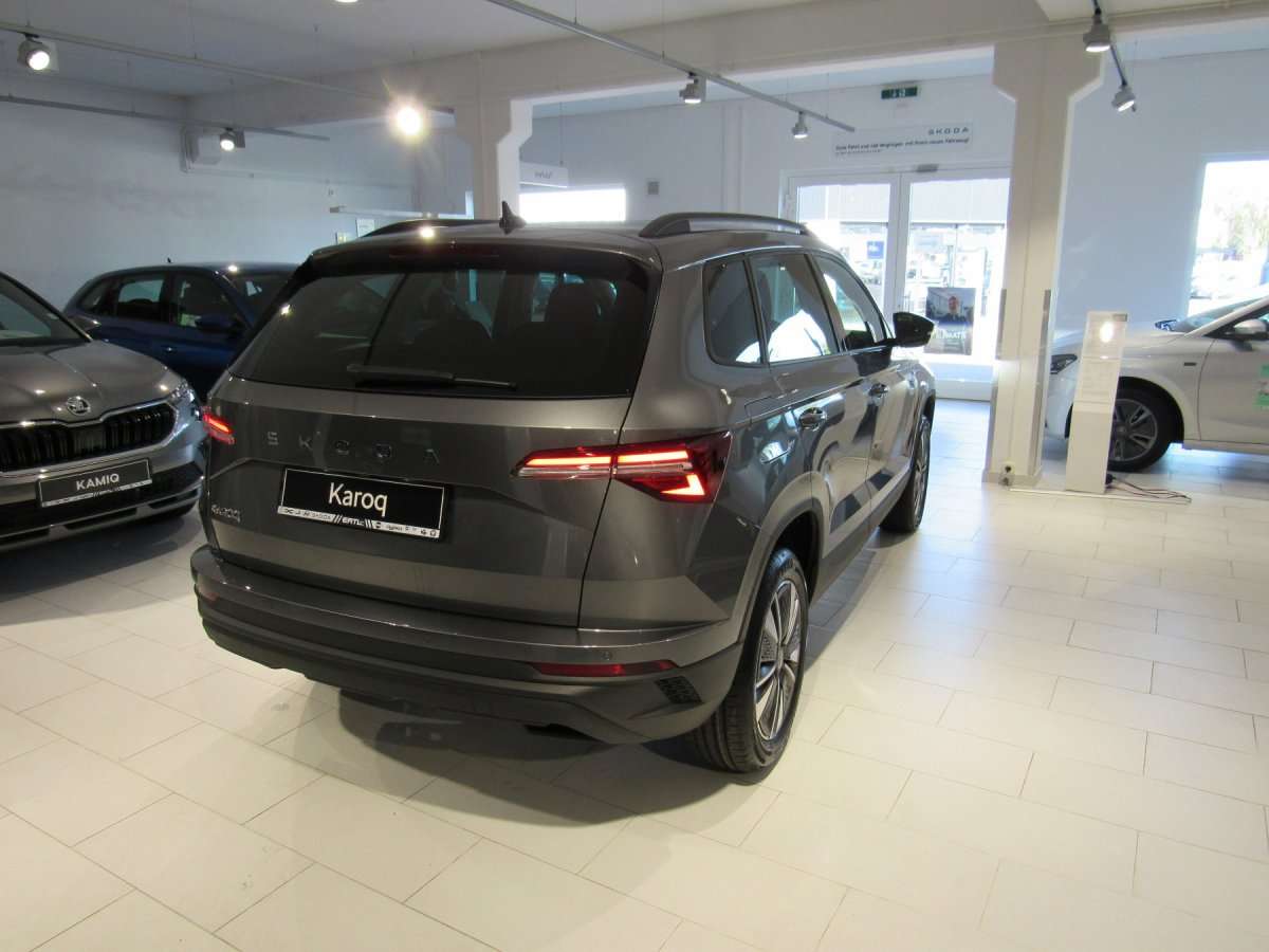 Fahrzeugbild eines Skoda Karoq
