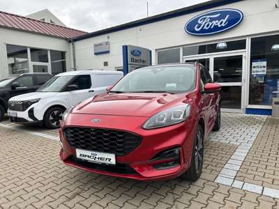 Bild Ford Kuga