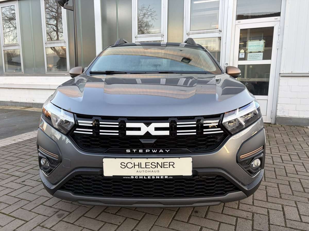 Fahrzeugbild eines Dacia Sandero