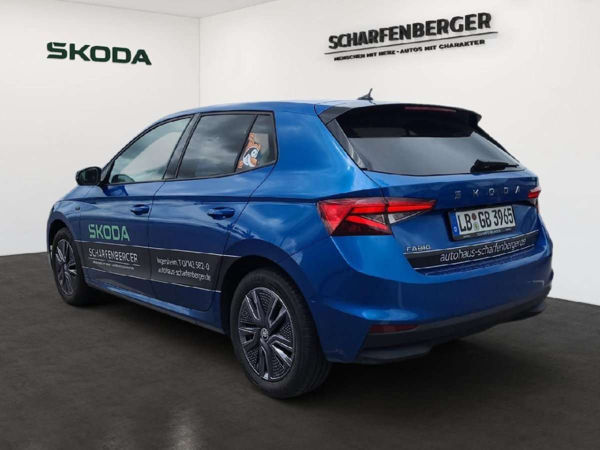 Fahrzeugbild eines Skoda Fabia