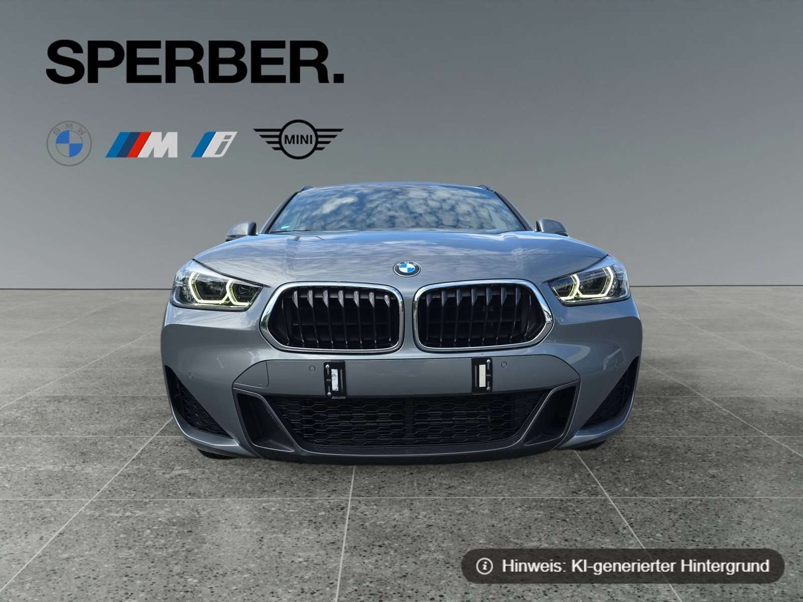 Fahrzeugbild eines BMW X2