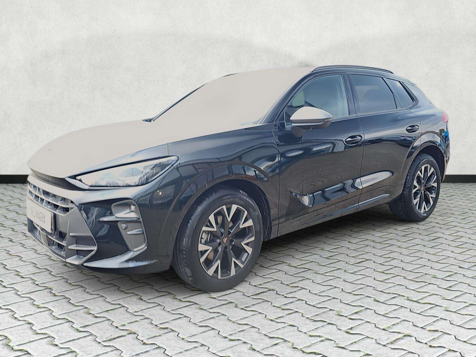 Fahrzeugbild eines CUPRA Terramar