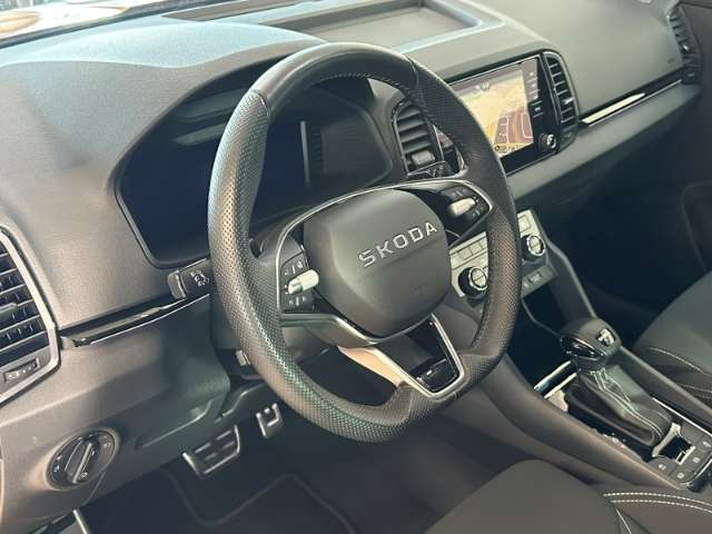 Fahrzeugbild eines Skoda Karoq