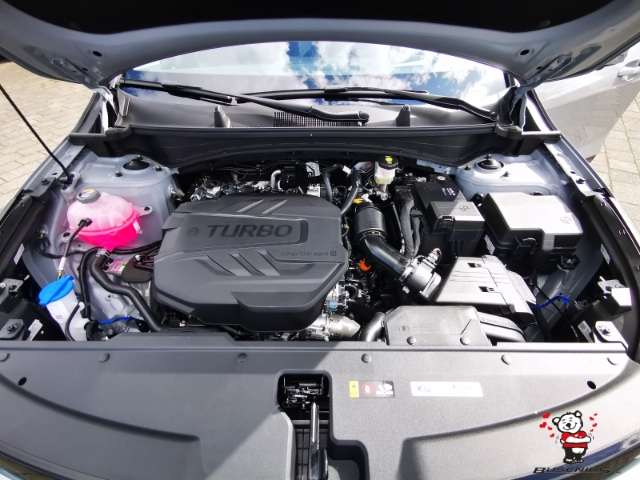 Fahrzeugbild eines Kia Sportage