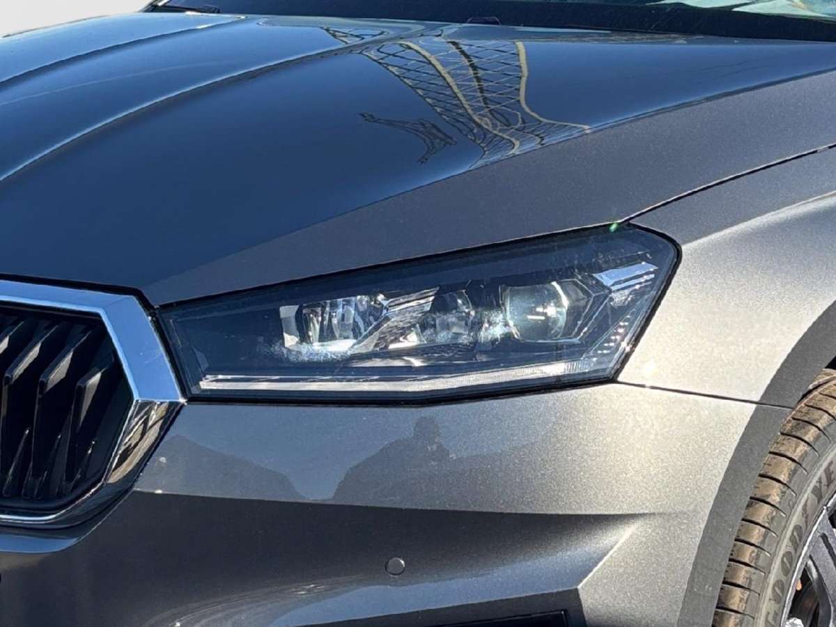 Fahrzeugbild eines Skoda Fabia