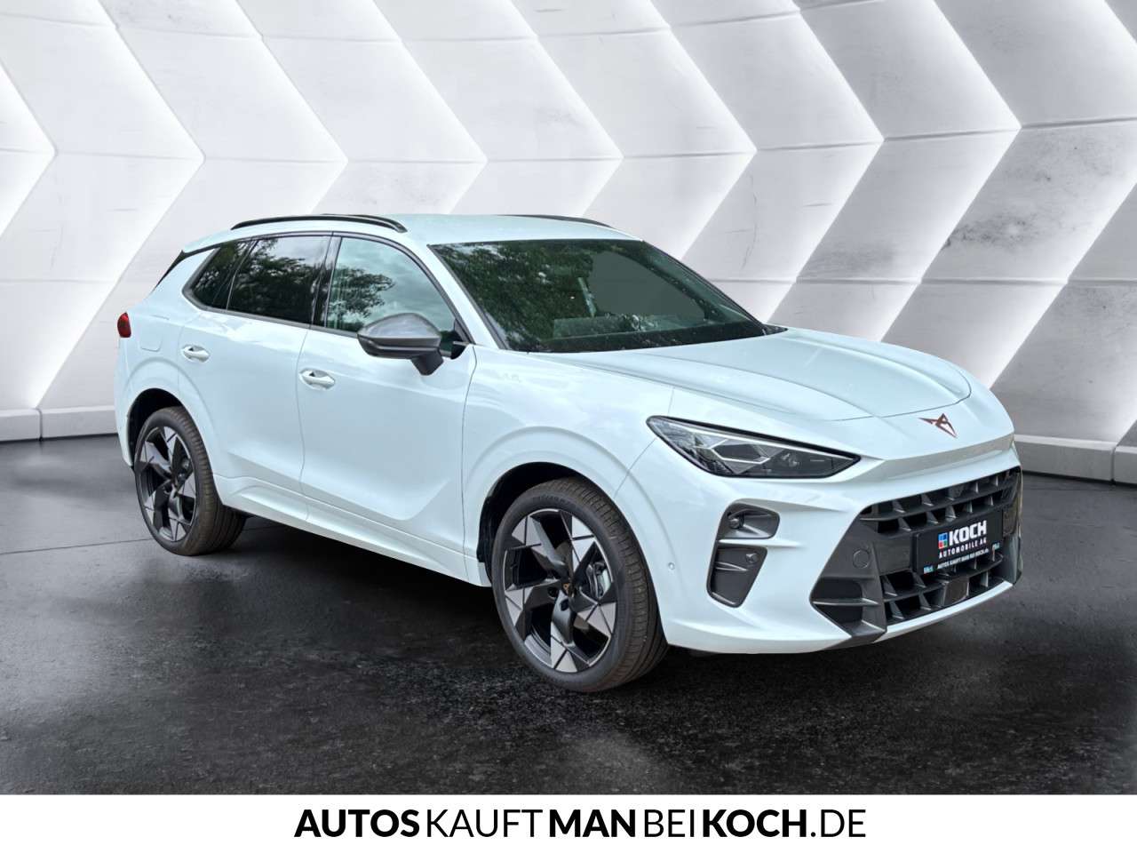 Fahrzeugbild eines CUPRA Terramar