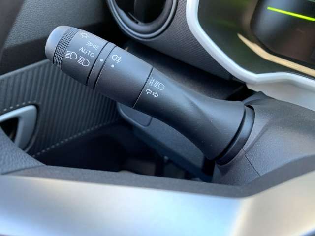 Fahrzeugbild eines Dacia Spring