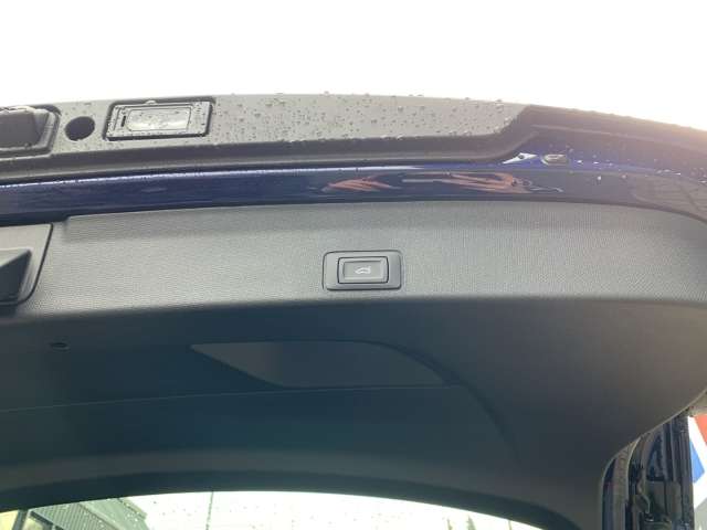 Fahrzeugbild eines CUPRA Terramar