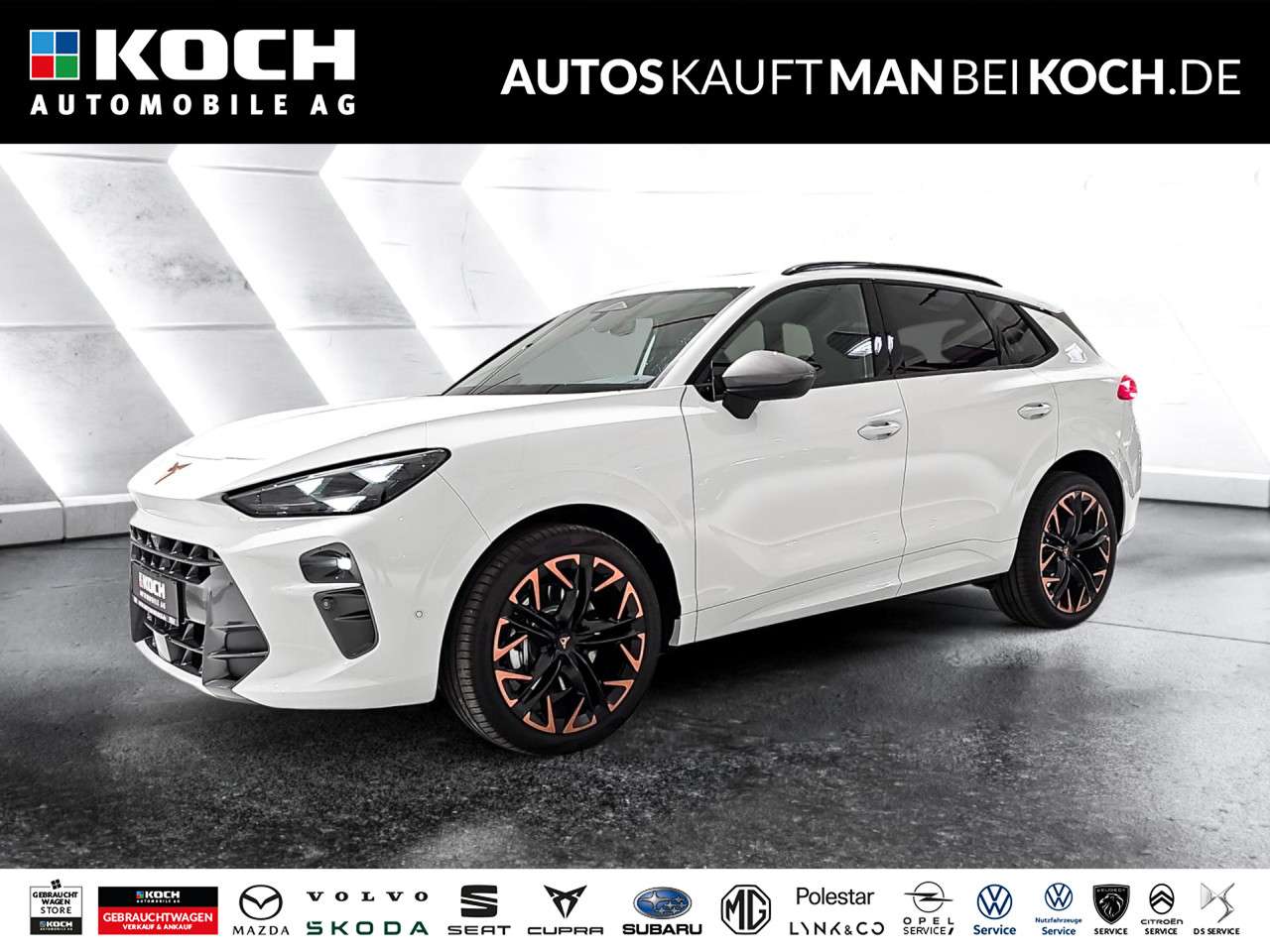 Fahrzeugbild eines CUPRA Terramar