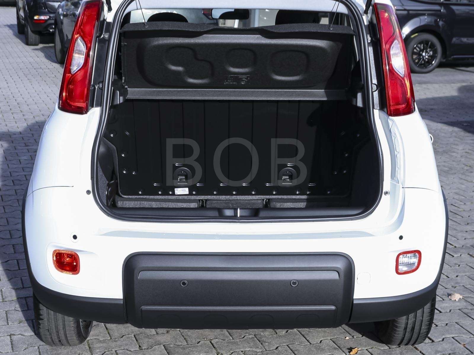 Fahrzeugbild eines Fiat Panda