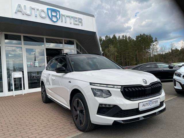 Fahrzeugbild eines Skoda Kamiq