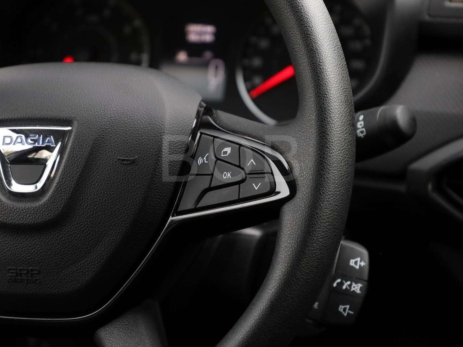 Fahrzeugbild eines Dacia Sandero